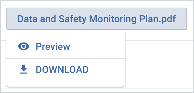 Attachment Option - Preview and Download